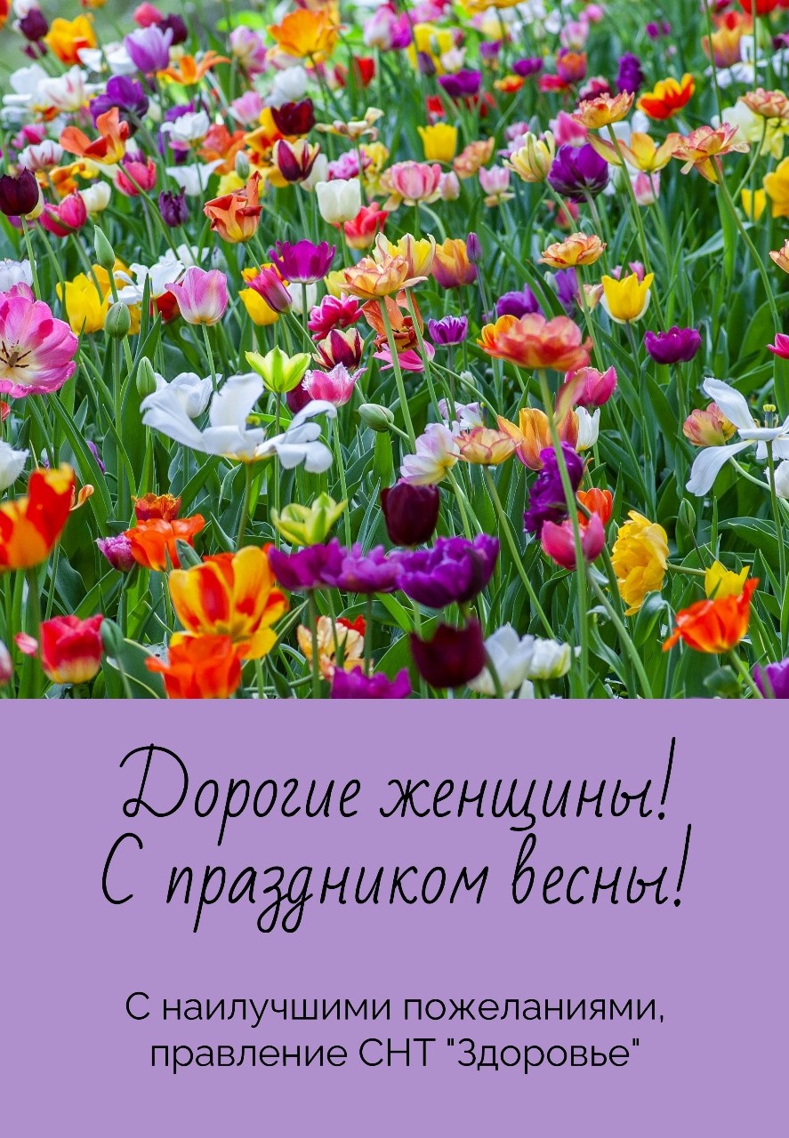 Поздравление с 8 марта